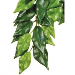 Roślina sztuczna – Silk Ficus, M