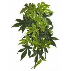 Roślina sztuczna – Silk Abuliton, M