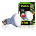 Żarówka Daylight Basking Spot R20/75W