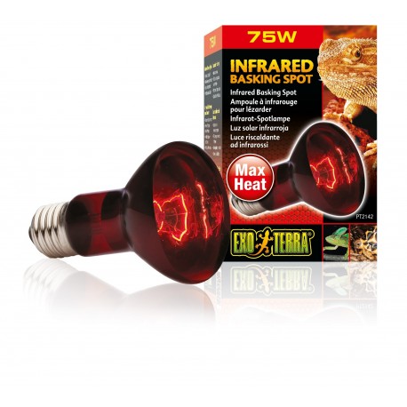 Żarówka Infrared Basking Spot R20/75W