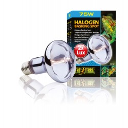 Żarówka Halogenowa SUN GLO 75W