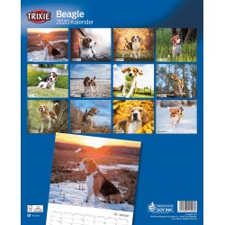 KALENDARZ BEAGLE