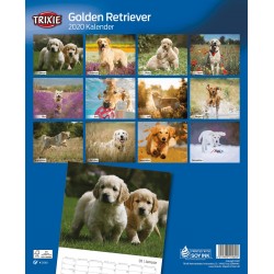 KALENDARZ GOLDEN RETRIEVER