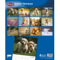KALENDARZ GOLDEN RETRIEVER