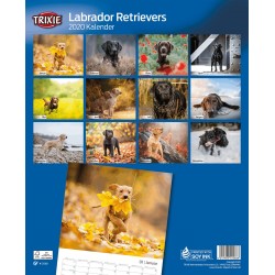 KALENDARZ LABRADOR RETRIEVER