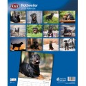 KALENDARZ ROTTWEILER