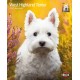 KALENDARZ WEST HIGHLAND TERRIERS