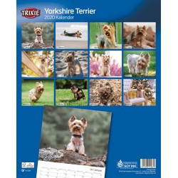 KALENDARZ YORKSHIRE TERIER