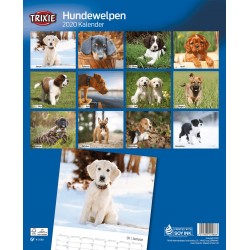 KALENDARZ SZCZENIĘTA