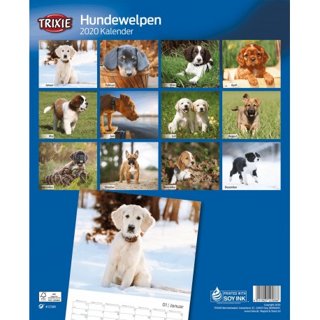 KALENDARZ SZCZENIĘTA