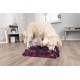 Gra aktywizująca dla psa Sniffing Carpet, 50 x 34 cm