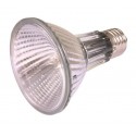 HeatSpot Pro, halogenowa lampa grzewcza, 75W