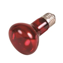 Punktowa lampa grzewcza, podczerwień, czerwona, 35 W