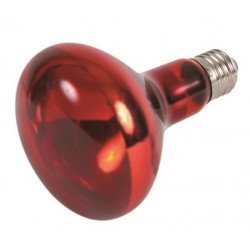 Punktowa lampa grzewcza, podczerwień, czerwona, 150W