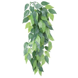 Roślina wiszaca z jedwabiu, o 20 × 50 cm