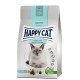 Sensitive Stomach Intestines, sucha karma, dla dorosłych kotów o wrażliwym układzie pokarmowym, 4 kg, worek