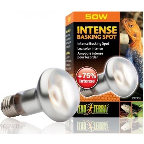 Żarówka Intense Basking Spot 50W, 63mm