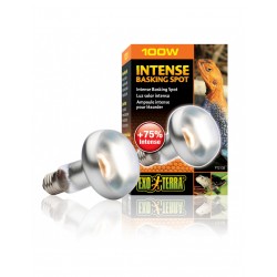 Żarówka Intense Basking Spot 100W, 80mm