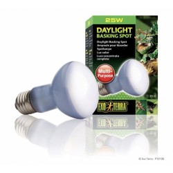 Żarówka Daylight Basking Spot 25W