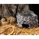 Wet Rock, kryjówka z miską, do terrarium, ceramiczna, M, 18x13x9,5cm, 130ml, narożnikowa