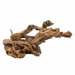 Korzeń Mopani, 30 - 50 cm