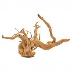 Korzeń bagienny, MIX, 60 - 100 cm