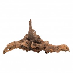 Drewno koralowe, duże, 80 - 100 cm