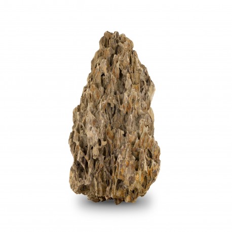 Skałka Smocza skała, M 20-30CM