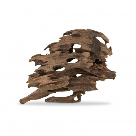 Korzeń Smocze drewno S 10-30cm