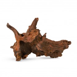 Korzeń Smocze drewno M-L 30-60cm