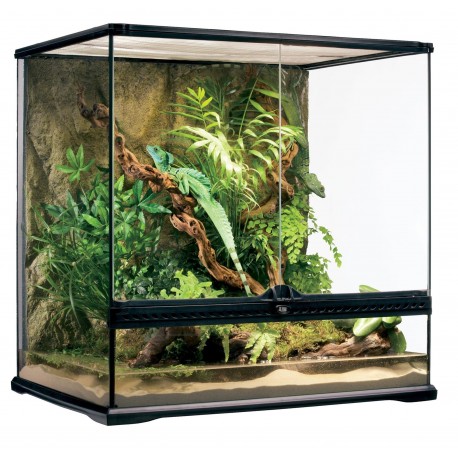 Terrarium szklane MEDIUM, 60x45x60cm