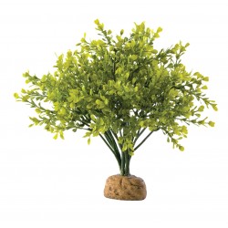 Roślina sztuczna – Boxwood Bush