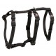 Szelki Stay, L–XL: 75–100 cm/25 mm, czarne