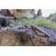 Insect Sticks, kabanosy z insektów, dla psa, 80 g