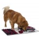 Dog Activity Sniffing Blanket, Mata węchowa, 70 × 47 cm