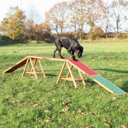 Kładka dla psów 'Dog Activity Agility , 456 × 64 × 30 cm