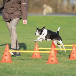 Tor przeszkód dla psa Dog Activity, zestaw 3 części, o 23 × 30 cm, 78 cm, pomarańczowy/żółty