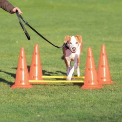 Tor przeszkód dla psa Dog Activity, zestaw 2 części, o 30 × 50 cm 100 cm, pomarańczowy/żółty