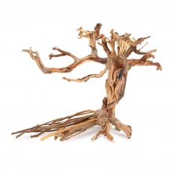 Tonące drzewo Bonsai nr 14 30x25