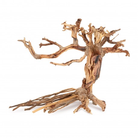 Tonące drzewo Bonsai nr 14 30x25