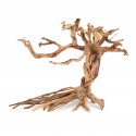 Tonące drzewo Bonsai nr 14 35x25