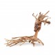 Tonące drzewo Bonsai nr 14 35x25