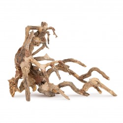 Tonące drzewo Bonsai nr 64 75x45