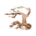 Tonące drzewo Bonsai nr nr 24 15x12