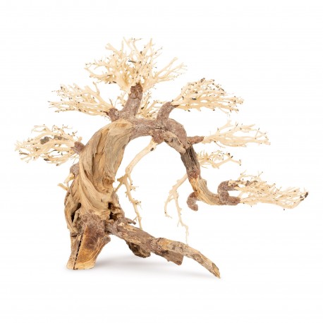 Tonące drzewo Bonsai nr 13 75x45
