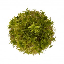 WIO Sphagnum Moss, mech dekoracyjny, do terrarium, zgniła zieleń, 0,095kg