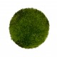 WIO Cushion Moss , mech dekoracyjny, do terrarium, ciemna zieleń, 0,095kg