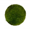 WIO Cushion Moss , mech dekoracyjny, do terrarium, ciemna zieleń, 0,095kg