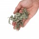 WIO Bits Lichen, porost dekoracyjny, do terrarium, zwarty, 0,5kg, worek