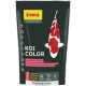 Koi Professional Color 500g - pokarm wybarwiający